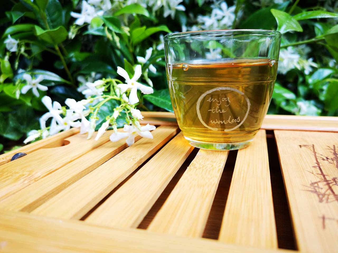 10 Λόγοι Για Να Πιεις Πράσινο Τσάι